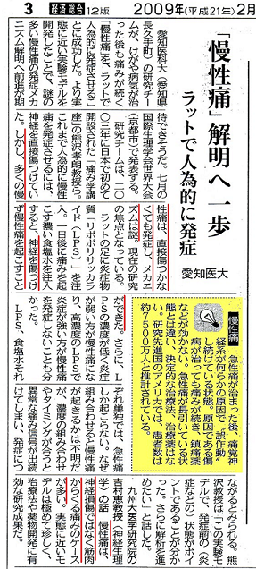 新聞記事.png